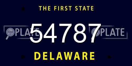 54787 Delaware License Plate