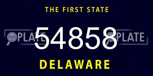 54858 Delaware License Plate