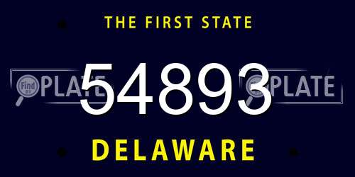 54893 Delaware License Plate