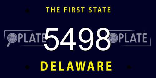 5498 Delaware License Plate