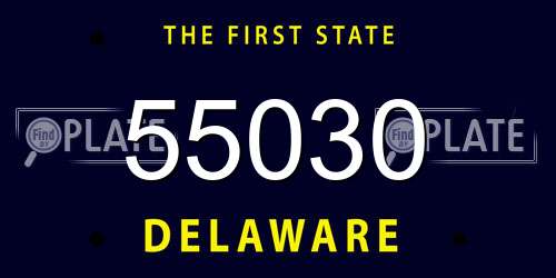 55030 Delaware License Plate