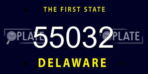 55032 Delaware License Plate