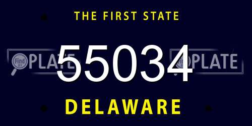 55034 Delaware License Plate