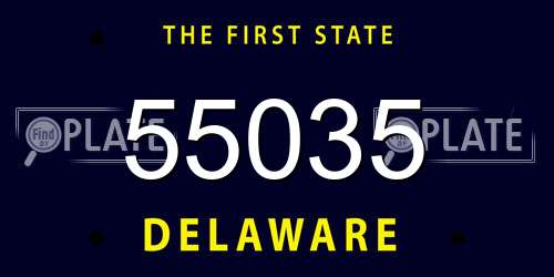 55035 Delaware License Plate
