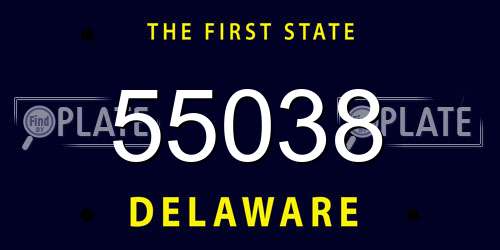 55038 Delaware License Plate