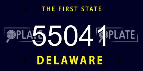55041 Delaware License Plate
