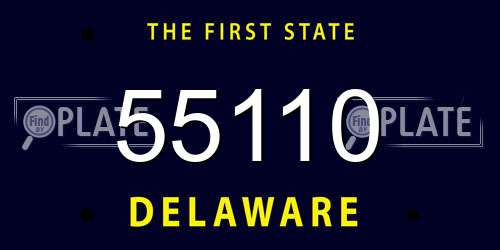 55110 Delaware License Plate