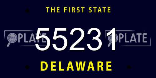 55231 Delaware License Plate