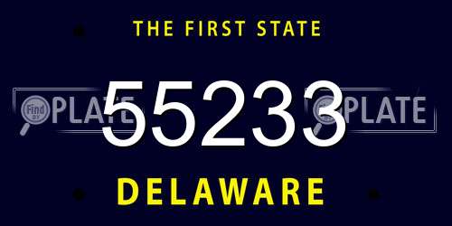 55233 Delaware License Plate
