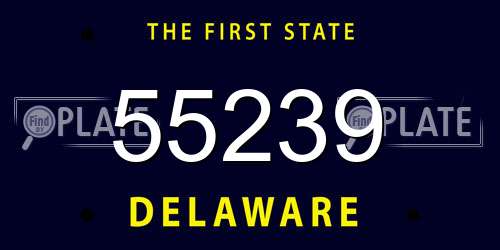 55239 Delaware License Plate