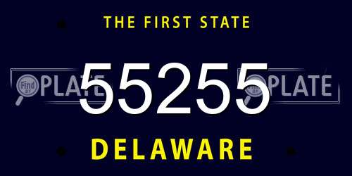 55255 Delaware License Plate