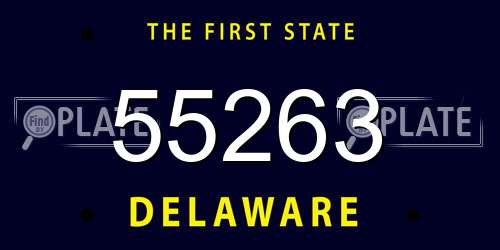 55263 Delaware License Plate