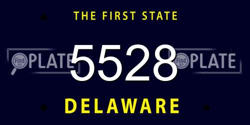 5528 Delaware License Plate