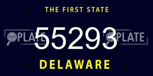 55293 Delaware License Plate