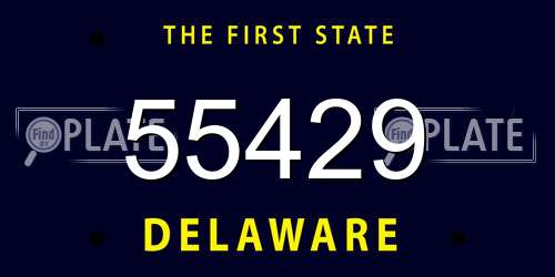 55429 Delaware License Plate