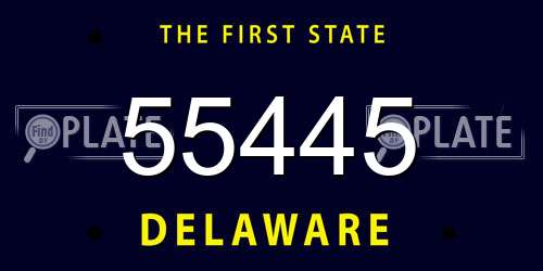 55445 Delaware License Plate