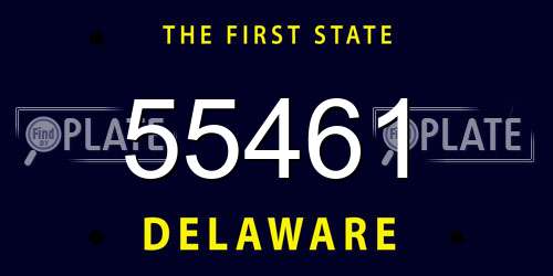 55461 Delaware License Plate