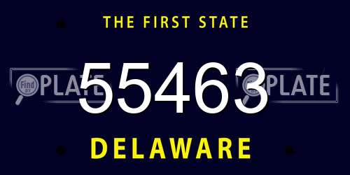 55463 Delaware License Plate