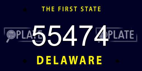 55474 Delaware License Plate