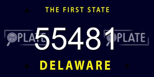 55481 Delaware License Plate