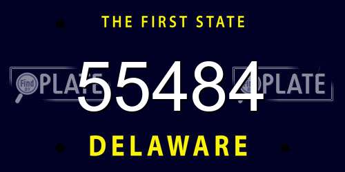 55484 Delaware License Plate