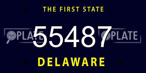 55487 Delaware License Plate