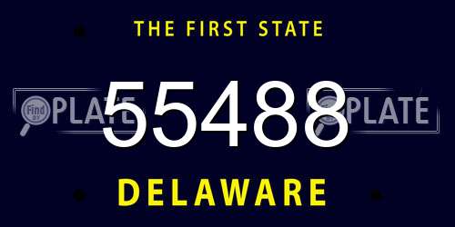 55488 Delaware License Plate