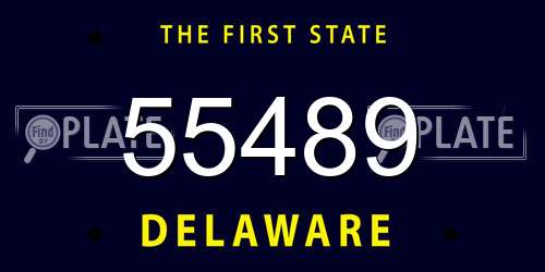 55489 Delaware License Plate