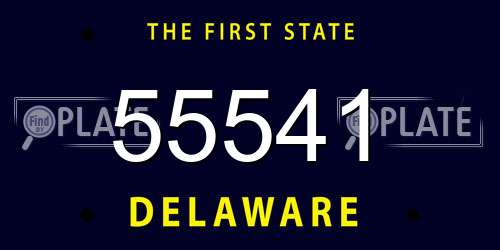 55541 Delaware License Plate