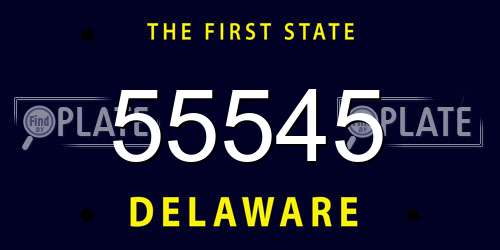 55545 Delaware License Plate