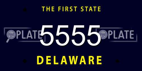 5555 Delaware License Plate