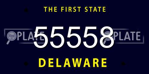 55558 Delaware License Plate