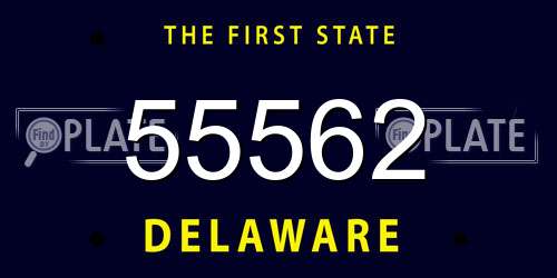 55562 Delaware License Plate