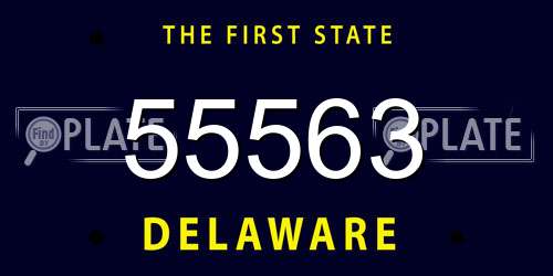 55563 Delaware License Plate