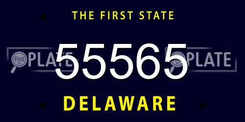 55565 Delaware License Plate