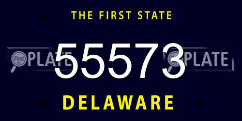 55573 Delaware License Plate