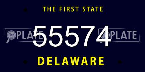 55574 Delaware License Plate