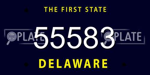 55583 Delaware License Plate