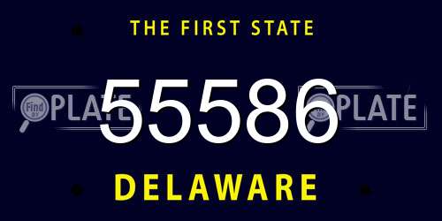 55586 Delaware License Plate