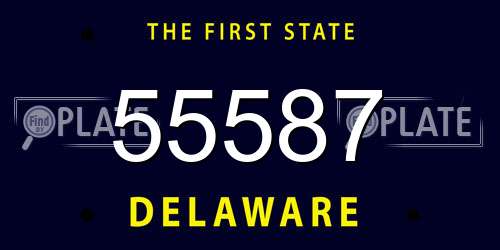 55587 Delaware License Plate