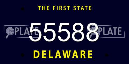 55588 Delaware License Plate