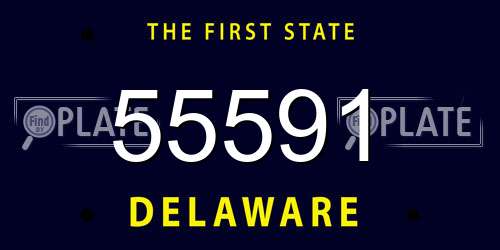 55591 Delaware License Plate