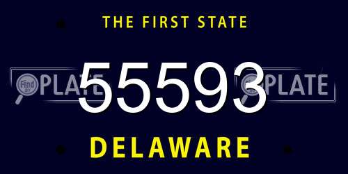 55593 Delaware License Plate