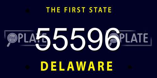 55596 Delaware License Plate