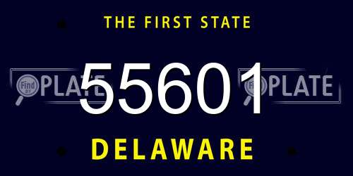 55601 Delaware License Plate