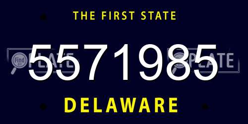 5571985 Delaware License Plate