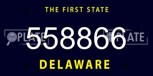 558866 Delaware License Plate