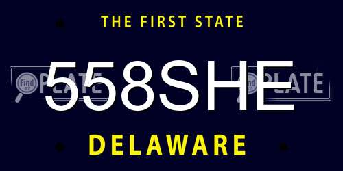 558SHE Delaware License Plate