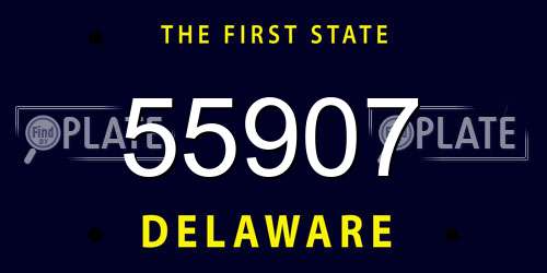55907 Delaware License Plate
