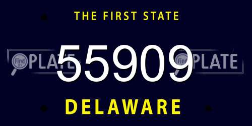 55909 Delaware License Plate